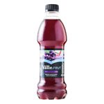 Bebida-Adocada-Uva-Del-Valle-Frut-450ml