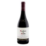 Vinho-Chileno-Tinto-Seco-Reserva-Casillero-del-Diablo-Pinot-Noir-750ml