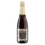 Espumante-Brasileiro-Branco-Brut-Terranova-Chenin-Blanc-Sauvignon-Blanc-Verdejo-Vale-do-Sao-Francisco-750ml