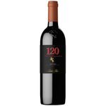 Vinho-Chileno-Tinto-Santa-Rita-Coleccion-Independencia-Carmenere-750ml