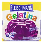 Gelatina-em-Po-Uva-Fleischmann-20g
