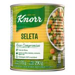 Seleta-de-Legumes-em-Conserva-Knorr-170g