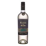 Vinho-Chileno-Branco-Seco-Reserva-Especial-Assemblage-Casillero-del-Diablo-Devil-s-Collection-750ml
