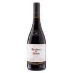 Vinho-Chileno-Tinto-Seco-Reserva-Casillero-del-Diablo-Shiraz-Valle-Central-750ml