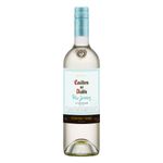 Vinho-Chileno-Casillero-Pedro-Jimenez-Garrafa-750ml