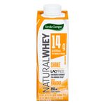 Bebida-Lactea-UHT-Banana-Zero-Lactose-Verde-Campo-Natural-Whey-Lacfree-250ml