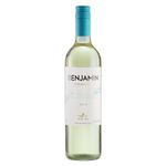 Vinho-Branco-Suave-Benjamin-Benjamin-Nieto-Senetiner-Torrontes-750ml