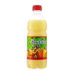 Suco-Concentrado-de-Caju-Jandaia-Garrafa-500ml