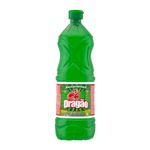 Agua-Sanitaria-Uso-Geral-Dragao-Garrafa-1L