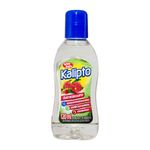 Desinfetante-Oleo-Eucalipto-Kalipto-Frasco-120ml