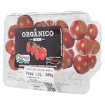 Mini-Tomate-Italiano-Organico-Rio-Bonito-300g