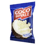 Coco-Ralado-Umido-Adocado-Coco-do-Vale-Pacote-50g