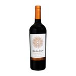 Vinho-Chileno-Tinto-Viñedos-Errazuriz-Ovalle-Gran-Reserva-Carmenere-Valle-de-Conchagua-Garrafa-750ml