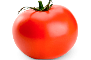 tomate_normal_1