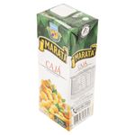 Nectar-Caja-Marata-Caixa-200ml