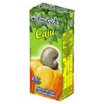 Nectar-Caju-Jandaia-Caixa-200ml