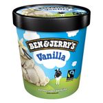 Sorvete-Vanilla-Ben---Jerry-s-Pote-458ml