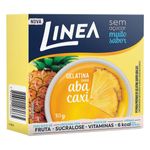 Gelatina-em-Po-Abacaxi-Zero-Acucar-Linea-Caixa-10g