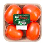 Tomate-Italiano-Organico