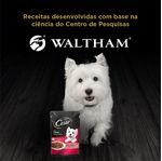 Racao-Umida-para-Caes-Adultos-Sabor-Carne-Assada-Cesar-Sache-85g