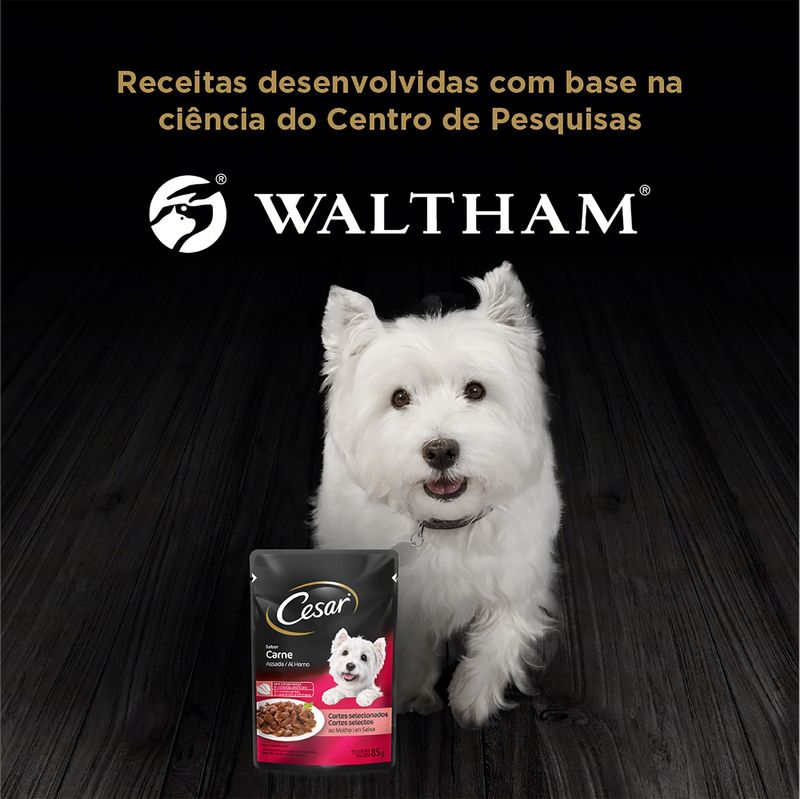 Racao-Umida-para-Caes-Adultos-Sabor-Carne-Assada-Cesar-Sache-85g