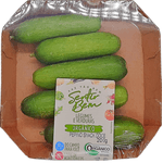 Pepino-Snack-Sentir-Bem-Bandeja-200g