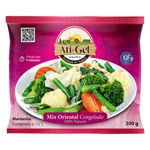 Mix-Oriental-Congelado-Ati-Gel-Pacote-300g