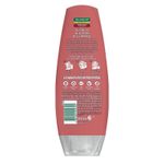 condicionador-palmolive-naturals-oleo-surpreendente-frasco-350ml-7891024029794