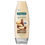 condicionador-palmolive-natureza-secreta-castanha-frasco-325ml-7891024038741