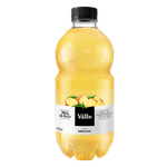 Suco-Abacaxi-sem-Acucar-Del-Valle-Garrafa-900ml