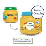 Papinha-Frutas-Tropicais-Naturnes-Nestle-Vidro-120g