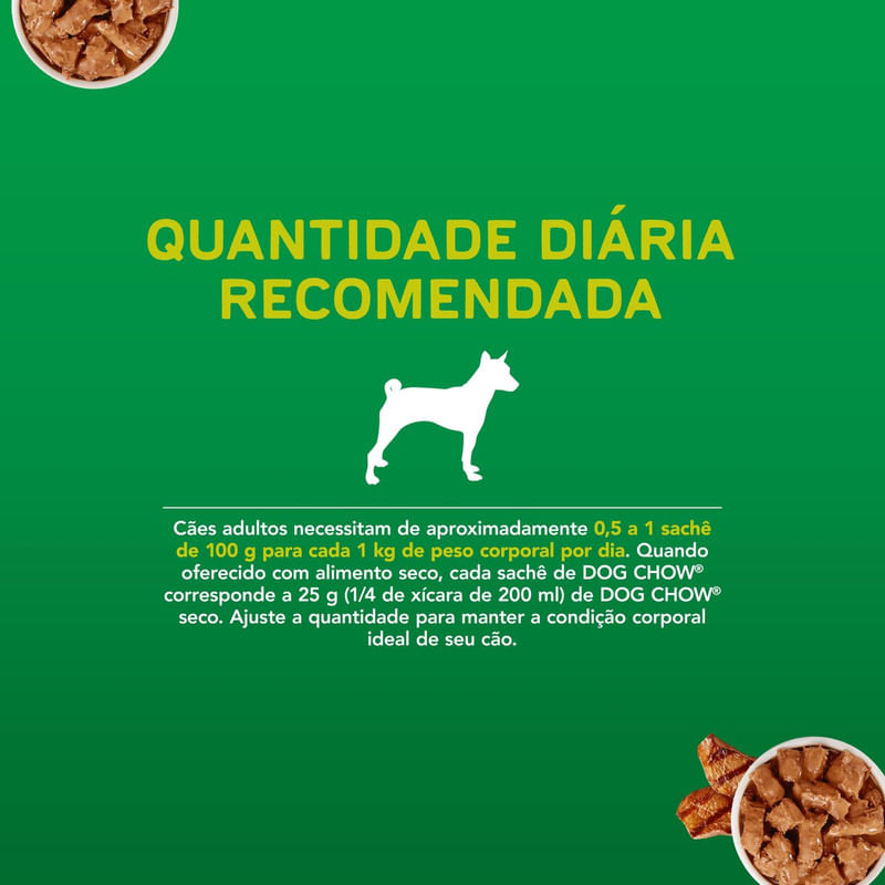 Alimento-para-Caes-Adultos-Carne-ao-Molho-Purina-Dog-Chow-Pacote-100g