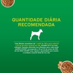 Racao-Umida-para-Caes-Filhotes-Sabor-Frango-Extra-Life-Dog-Chow-Purina-Sache-100g