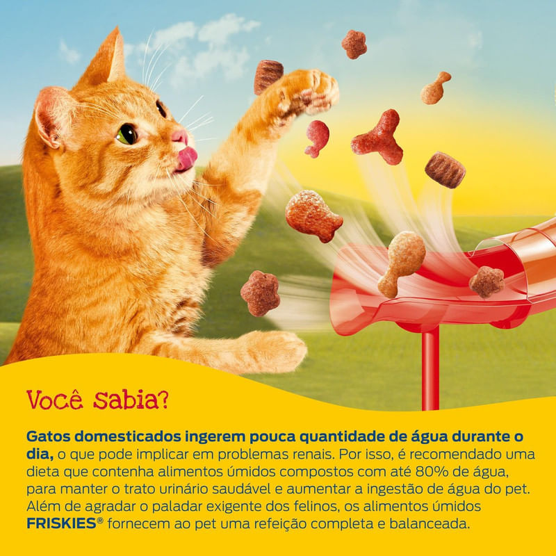 Alimento-para-Gatos-Adultos-Carne-ao-Molho-Purina-Friskies-Sache-85g