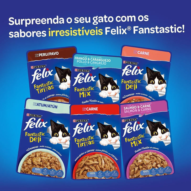 Alimento Para Gatos Adultos Carne Fantastic Deli Purina Felix Sachê 85g 3419