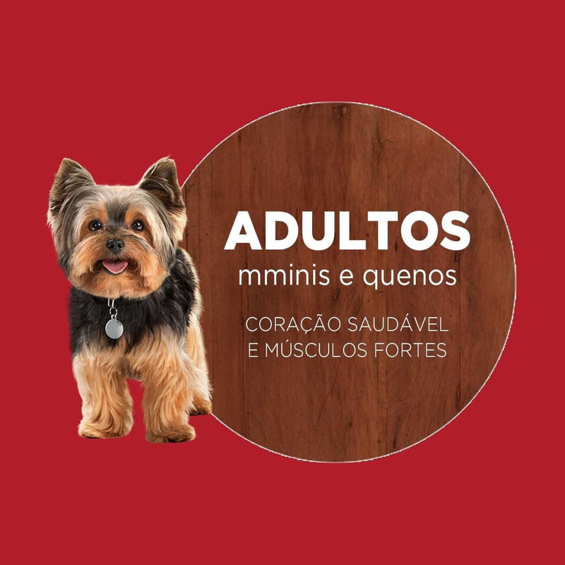 Alimento-para-Caes-Adultos-Racas-Minis-e-Pequenas-Frango-e-Carne-One-Visible-Nutrition-Purina-Pacote-700g