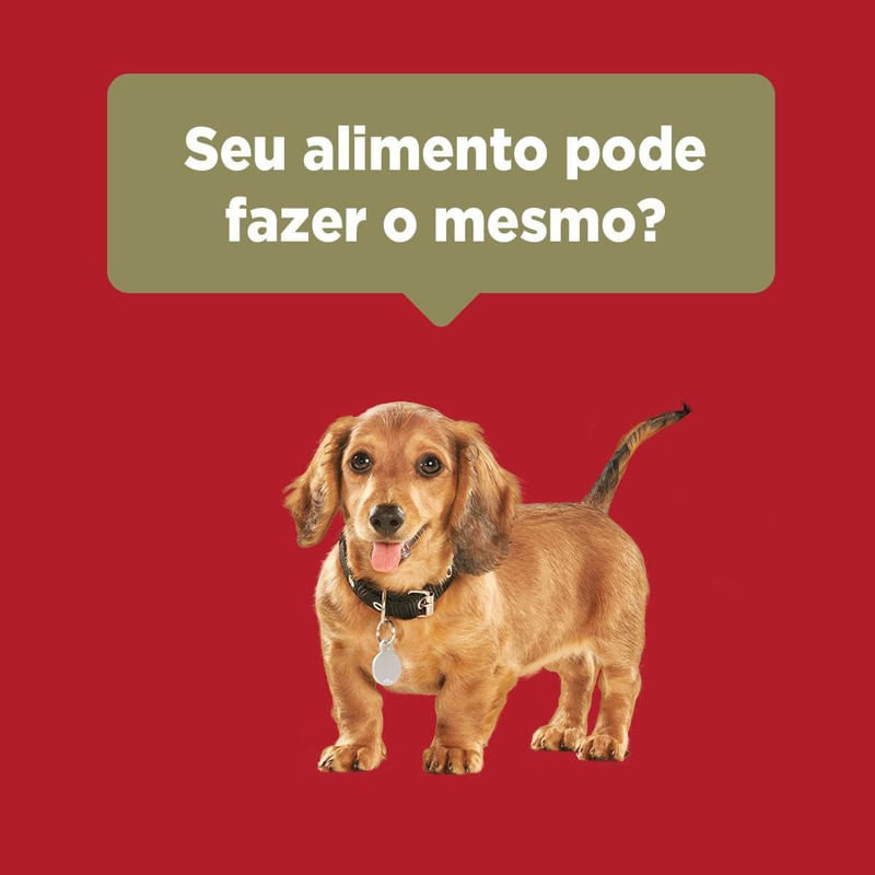 Alimento-para-Caes-Filhotes-Todos-os-Tamanhos-Frango-e-Carne-One-Visible-Nutrition-Purina-Pacote-700g