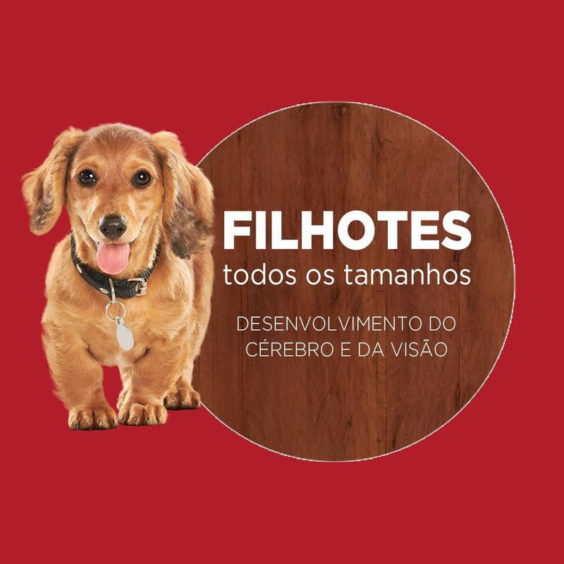 Alimento-para-Caes-Filhotes-Todos-os-Tamanhos-Frango-e-Carne-One-Visible-Nutrition-Purina-Pacote-700g