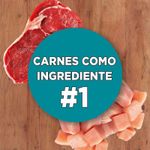 Alimento-para-Gatos-Filhotes-Frango-e-Carne-One-Visible-Nutrition-Purina-Pacote-2kg