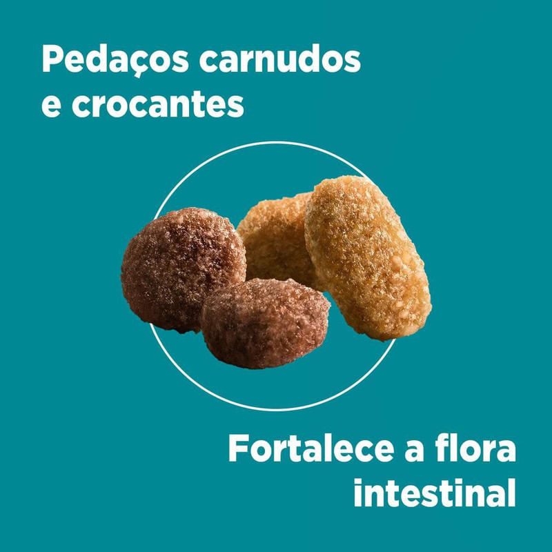 Alimento-para-Gatos-Filhotes-Frango-e-Carne-One-Visible-Nutrition-Purina-Pacote-2kg
