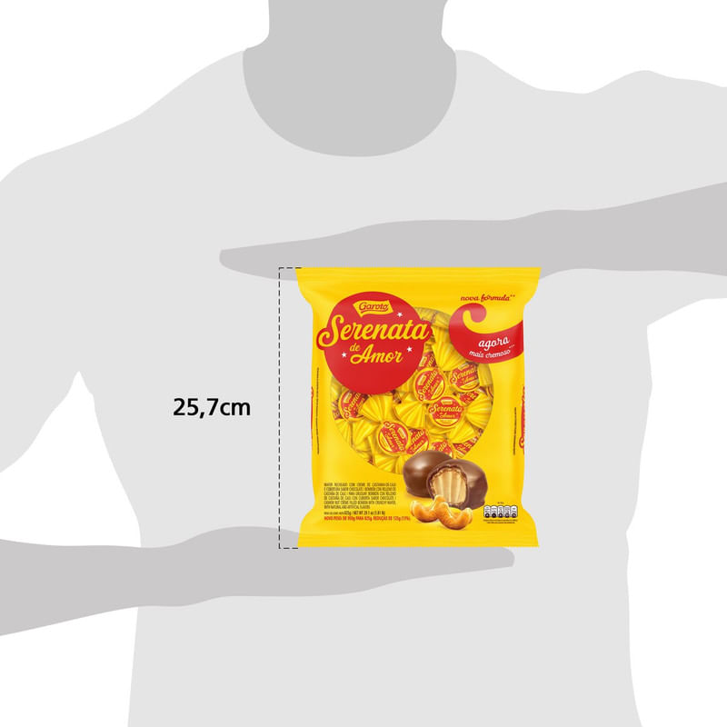 Bombom-Serenata-de-Amor-Garoto-Pacote-825g