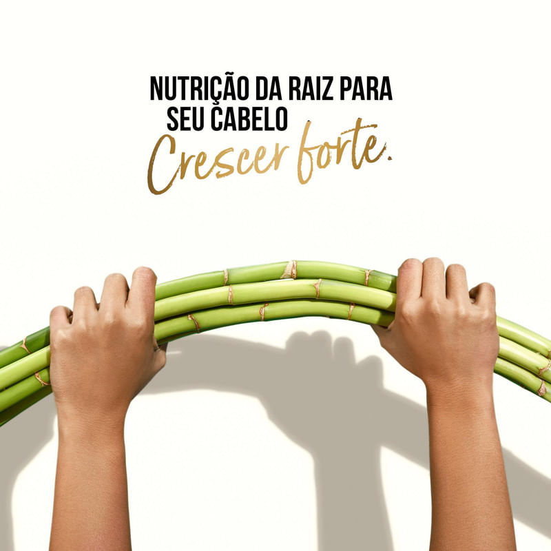 Mascara-Pantene-Bambu-600ml
