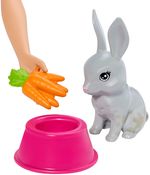 Boneca-Barbie-Banho-dos-Cachorrinhos-Mattel-Caixa-1-Unidade