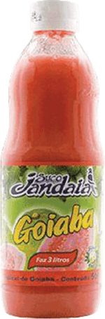 Suco-Concentrado-de-Goiaba-Jandaia-Garrafa-1l