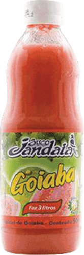 Suco-Concentrado-de-Goiaba-Jandaia-Garrafa-1l
