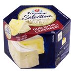Queijo-Camembert-Polenghi-Selection-Caixa-125g
