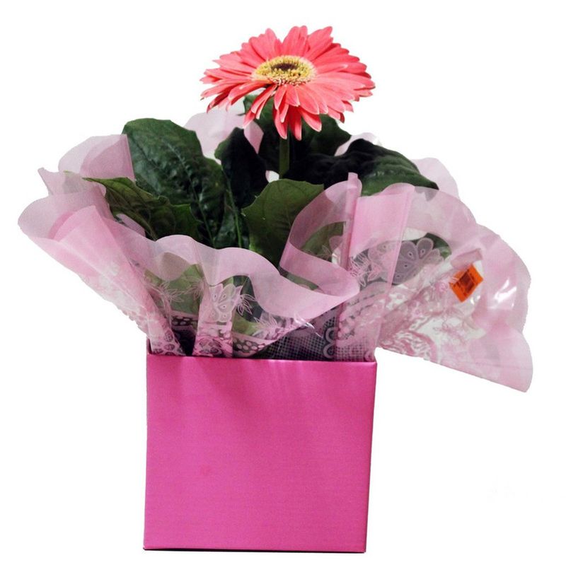 Gerbera-Decorada-Pote-15