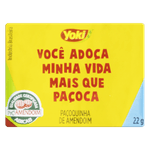 Pacoquinha-de-Amendoim-Tablete-Yoki-Pote-352g-com-16-Unidades