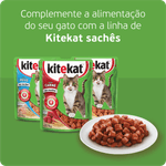 Racao-para-Gatos-Adultos-Mix-de-Carnes-Kitekat-Pacote-27kg