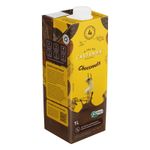 Bebida-a-Base-de-Castanha-de-Caju-e-Cacau-Organica-Choconuts-A-Tal-da-Castanha-Caixa-1l